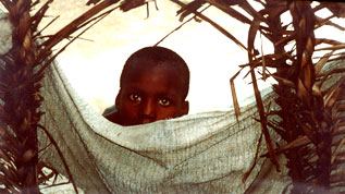 A Boy in Haiti